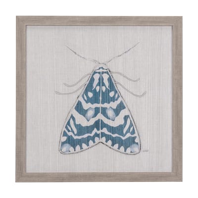 Moth Blue III Framed Art Print