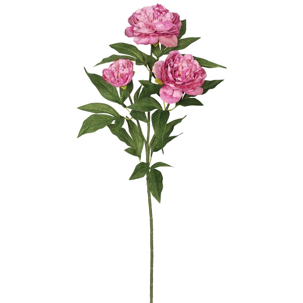 Vickerman 27