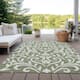 Option Fern