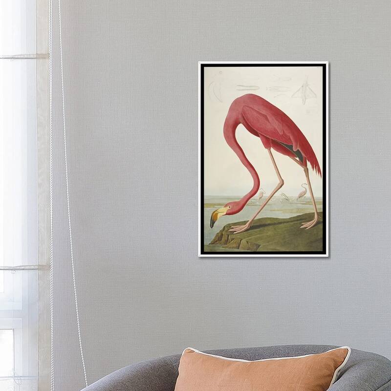 iCanvas "American Flamingo" by John James Audubon Framed Canvas Print