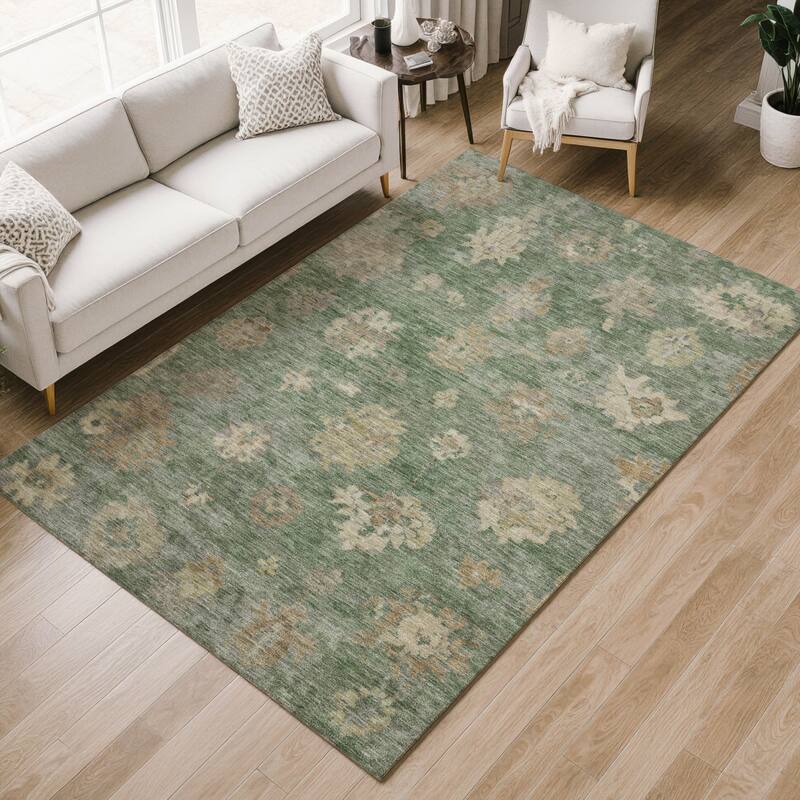 Machine Washable Indoor/ Outdoor Casual Traditional Chantille Rug