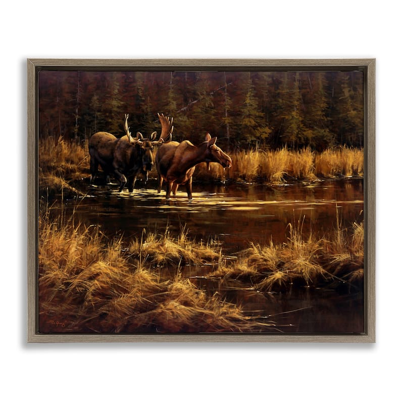 Stupell Moose Pair at Stream Framed Floater Canvas Wall Art Design By Paco Young - 21 x 17 - Brown