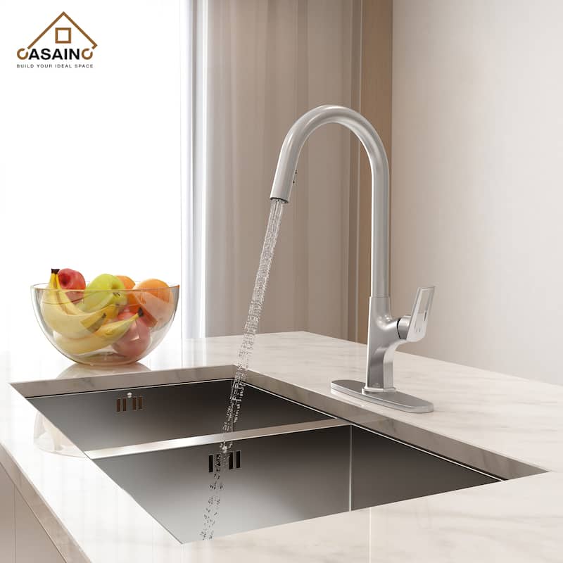 Single Handle Pull-Down Sprayer Kitchen Faucet - Chrome/Clear