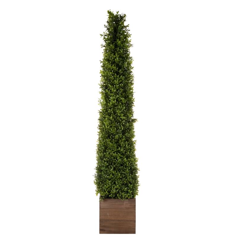 48-inch Regency Spring Boxwood Obelisk Tree in Wood Box - 11" W x 11"D x 48"H