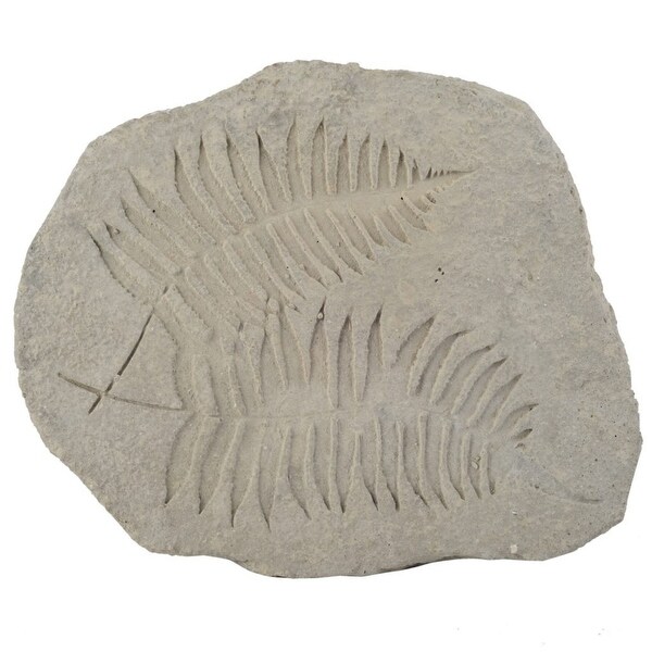 15" Cement Gray Contemporary Style Fern Fossil Accent. Opens flyout.