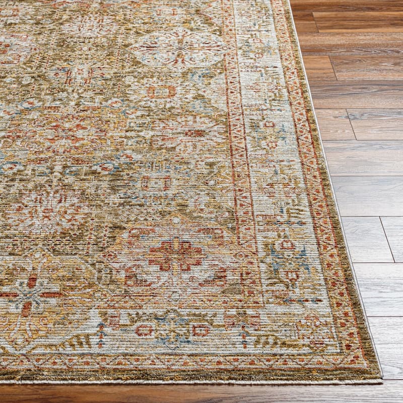 Livabliss Traditional Naila Medallion Area Rug