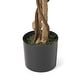 preview thumbnail 6 of 11, Harney Artificial Ficus Tree by Christopher Knight Home