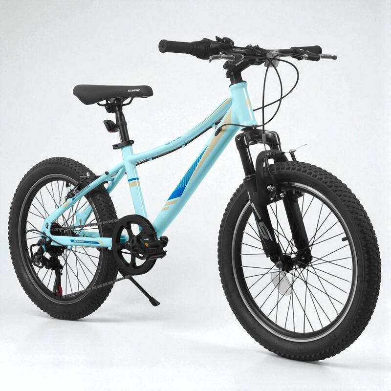 20-Inch Mountain Bike for Kids, 7-Speed, Shock Absorber Fork, V-Brakes, Outdoor Adventure Bike - Blue