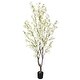 preview thumbnail 1 of 3, 6.5ft Cream White Artificial Cherry Blossom Flower Tree Plant in Black Pot - 78" H x 36" W x 36" DP