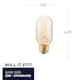 Option Spiral Filament T14 Medium (E26)