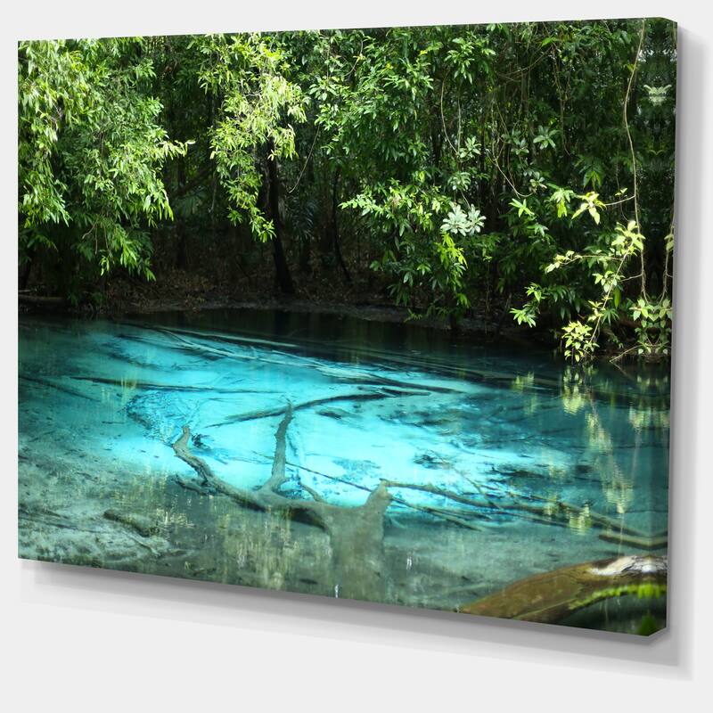 Designart "Emerald Pond in Deep Forest" Landscape Photography Canvas Print