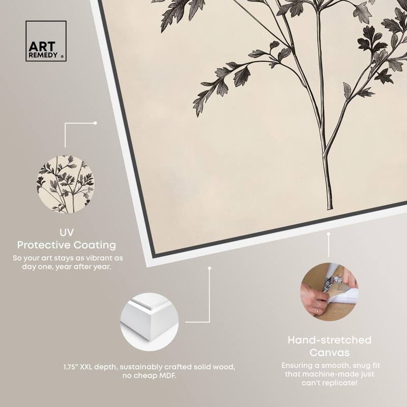 Aniseed Anatomy I Canvas by Art Remedy
