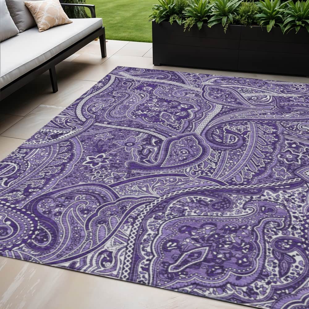 HomeRoots Paisley Traditional Rectangle Outdoor Rug