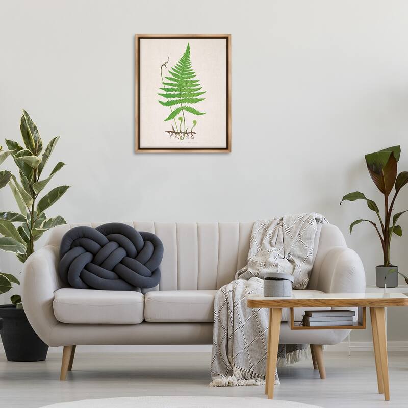Stupell Curled Budding Fern Sprigs Framed Floater Canvas Wall Art Design By Phillipa Katz