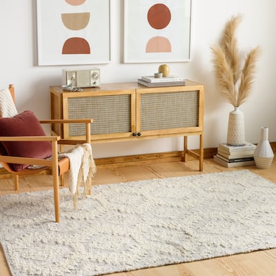 Artistic Weavers Plinio Handmade Wool Boho Area Rug