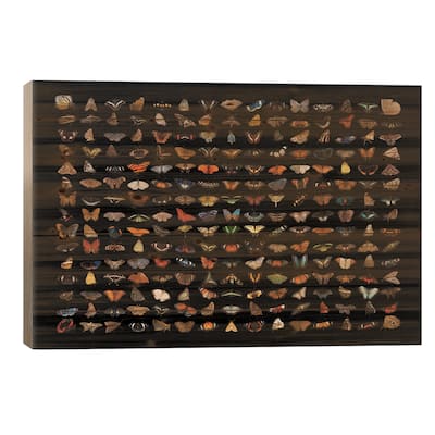 A Composite Of 225 Butterfly And Moth Species Print On Wood by Joel Sartore - Multi-Color