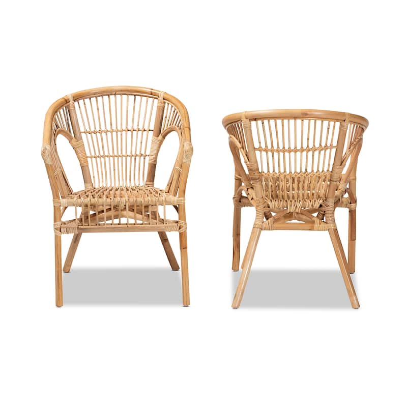 Alleta Modern Bohemian Natural Brown Rattan 2-Piece Dining Chair Set