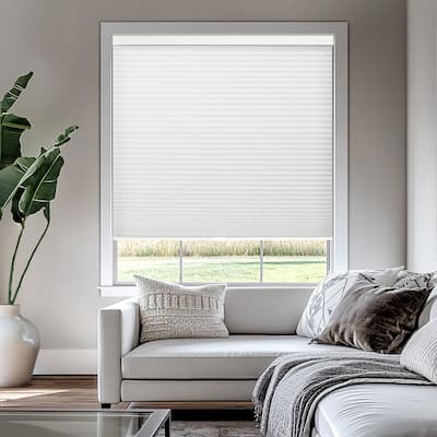 Chicology Cordless Light Filtering Cellular Shade Insulated Honeycomb