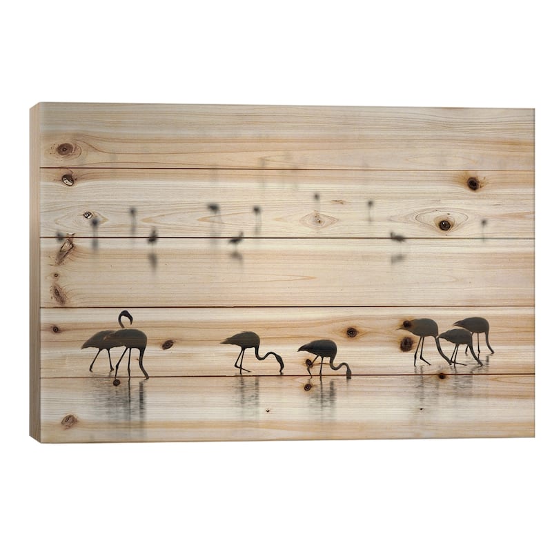 Greater Flamingos II, Ngorongoro Conservation Area, Crater Highlands, Arusha Region, Tanzania Print On Wood by Panoramic Images - 18x26x1.5
