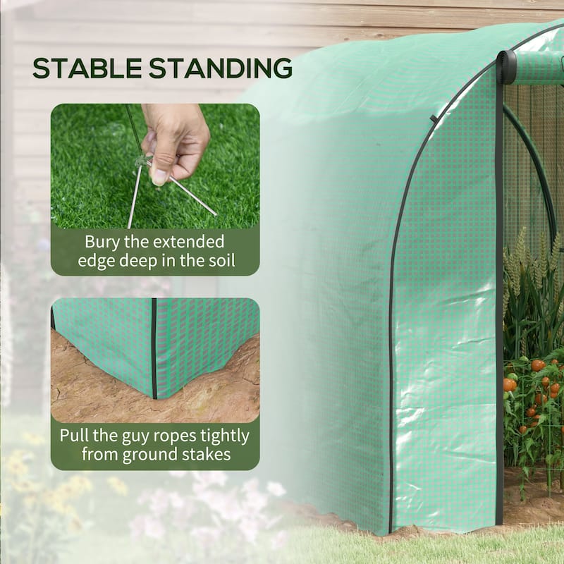 Tunnel Greenhouse with Door, Windows, 6.6'x10'x6.6'
