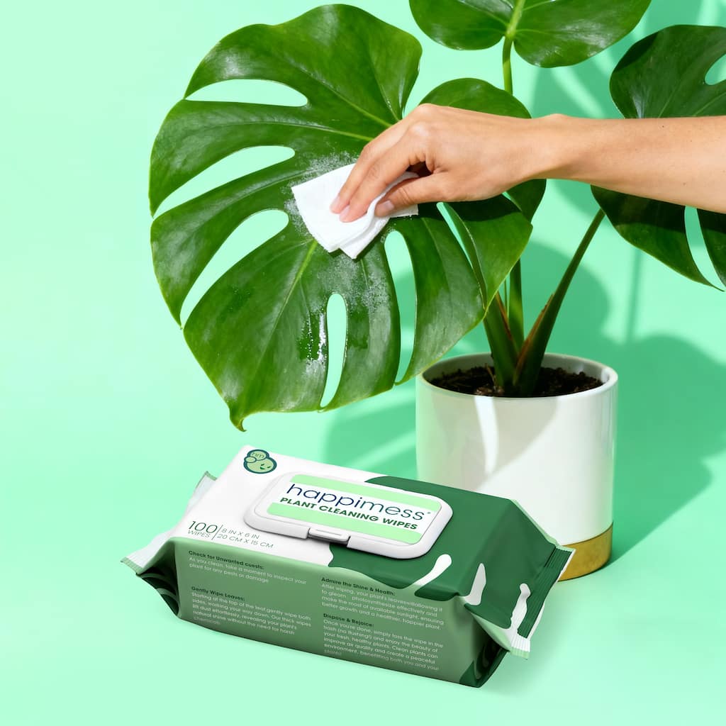happimess, Essential Oil Plant Cleaning Wipes Remove Dust and Restore Leaf Shine