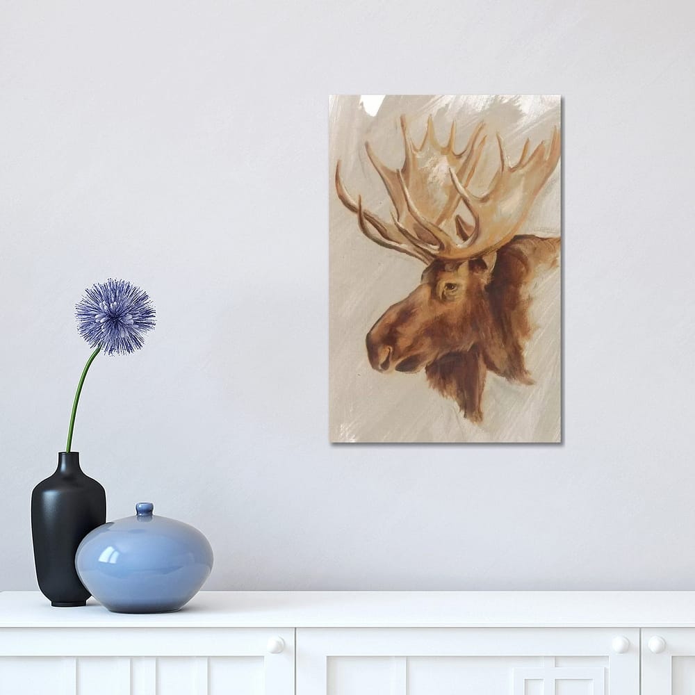 iCanvas "Western American Animal Study II" by Ethan Harper Canvas Print