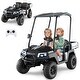 preview thumbnail 1 of 38, Costway 24V 7AH Kids Golf Cart 4WD 2 Seater Ride on Car with Sun Shade
