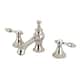 Option Polished Nickel
