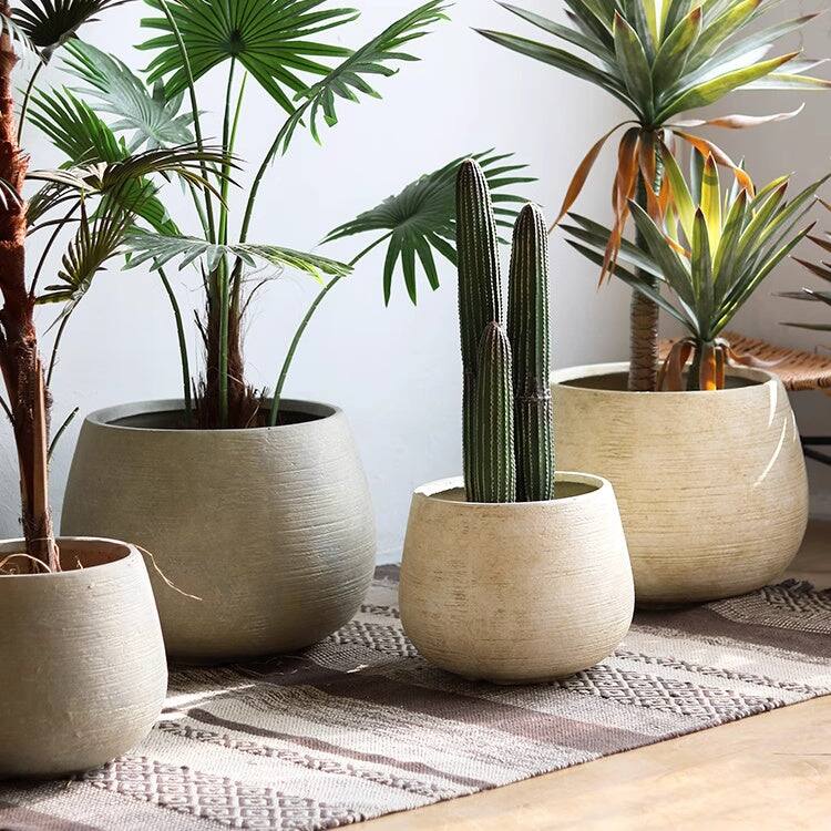 RusticReach Rustic Globe Cement Planter