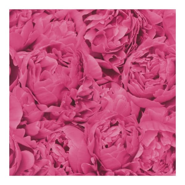 Rosenfield Pink Floral Wallpaper - 20.5 x 396 x 0.025 ...