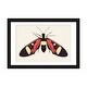 preview thumbnail 1 of 18, iCanvas "Red Butterfly" by Ana Martinez Black - 24x32x1