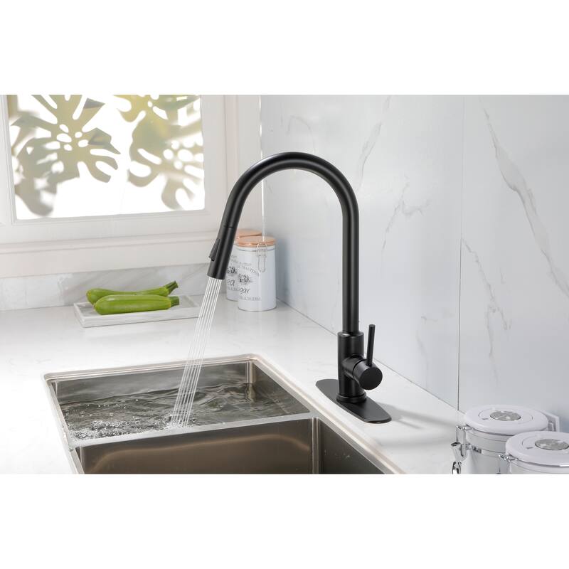 Stainless Steel Kitchen Faucet with Pull Down Sprayer