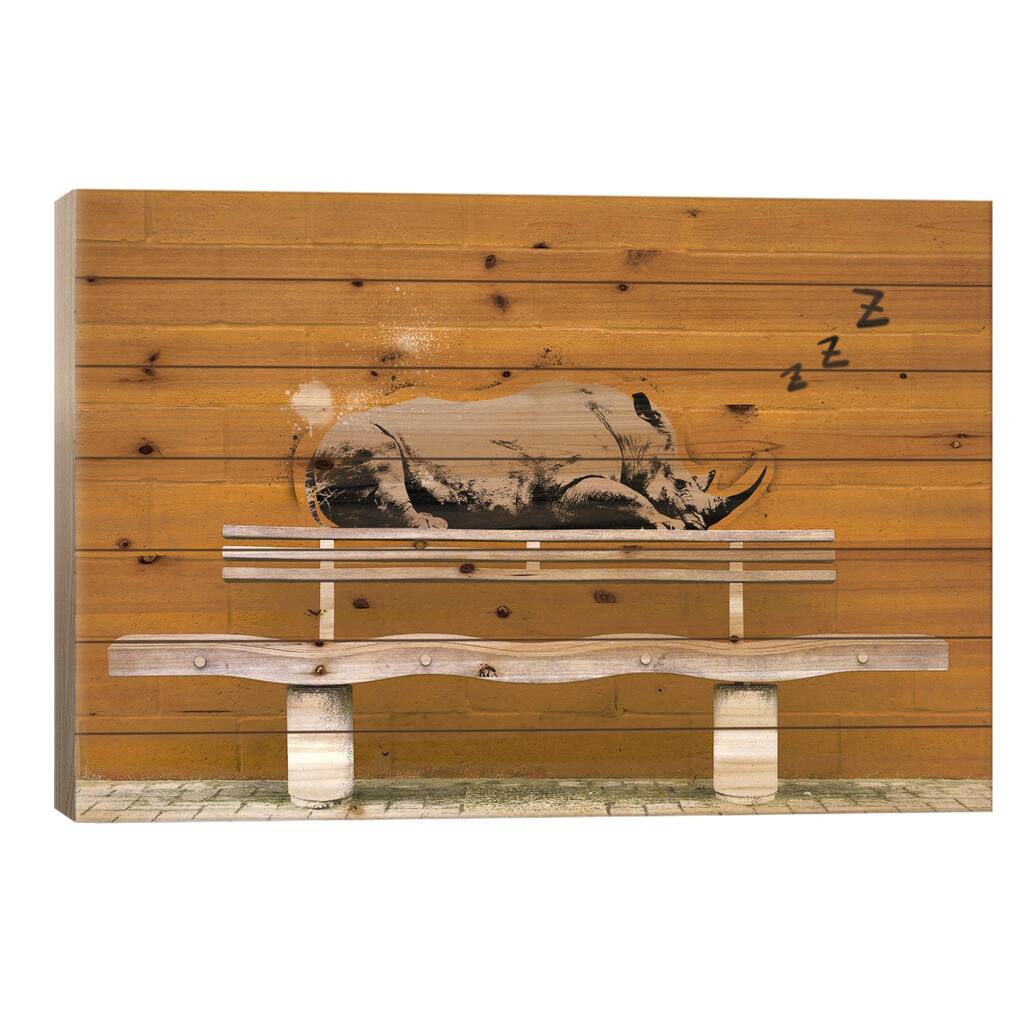 Sleepy Rhino Print On Wood by 5by5collective - Multi-Color