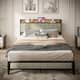 Option Light Gray