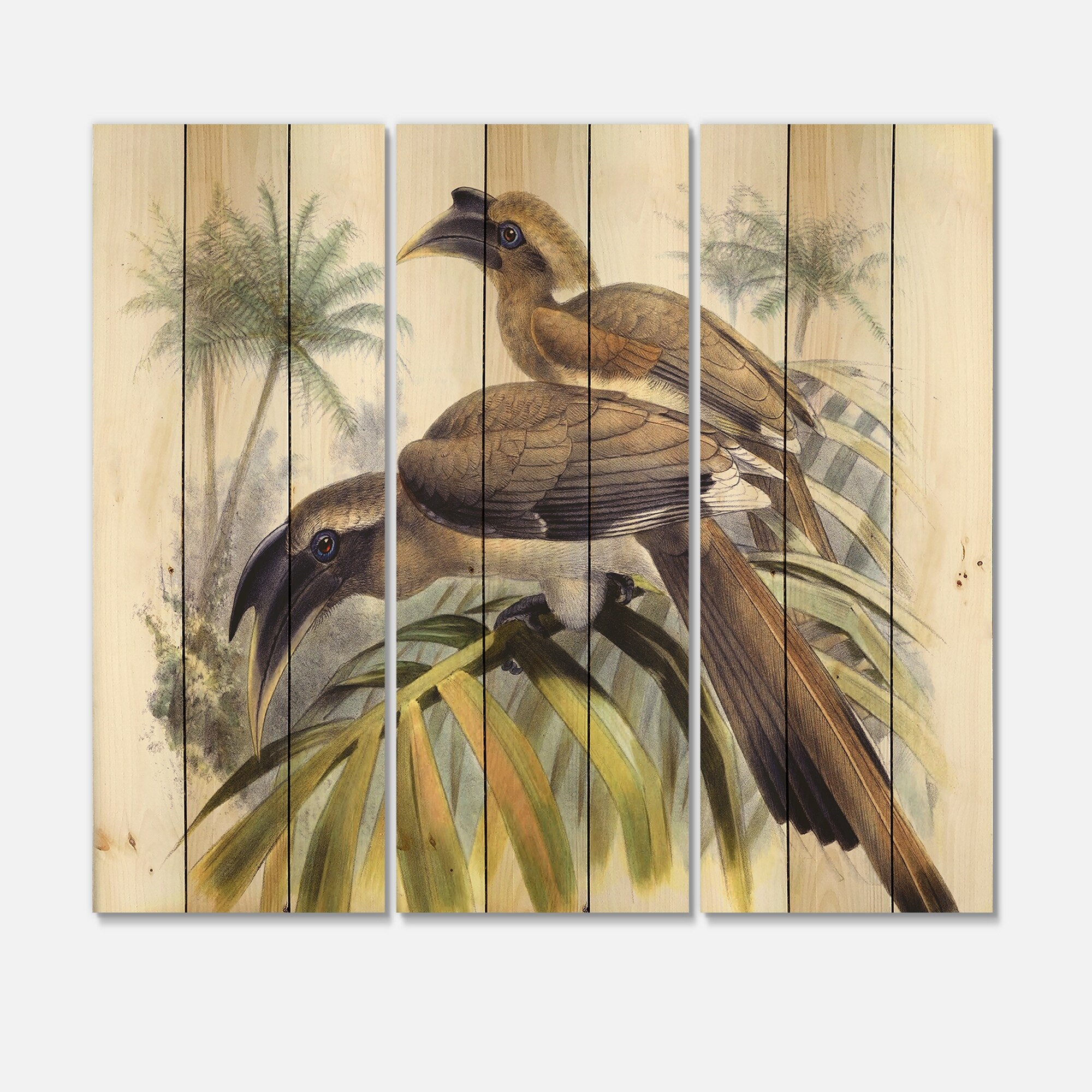 Designart 'Vintage Australian Birds XIV' Traditional Print on Natural Pine Wood-image