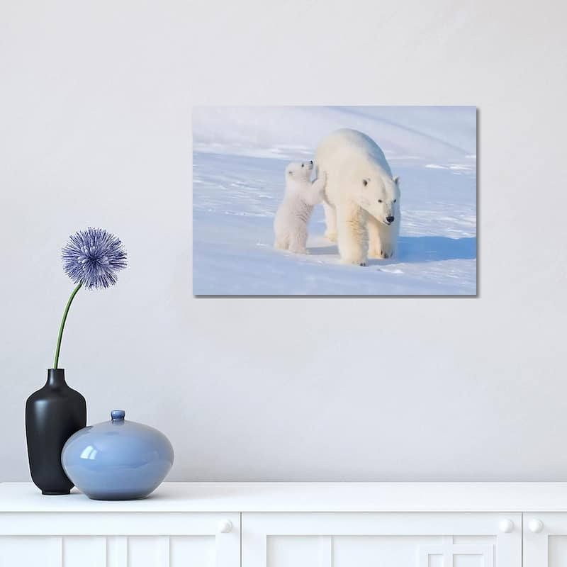iCanvas "Polar Bear Sow With Spring Cub Newly Emerged From Their Den, Area 1002, ANWR, Alaska" by Steve Kazlowski Canvas Print - 12x18x1.5