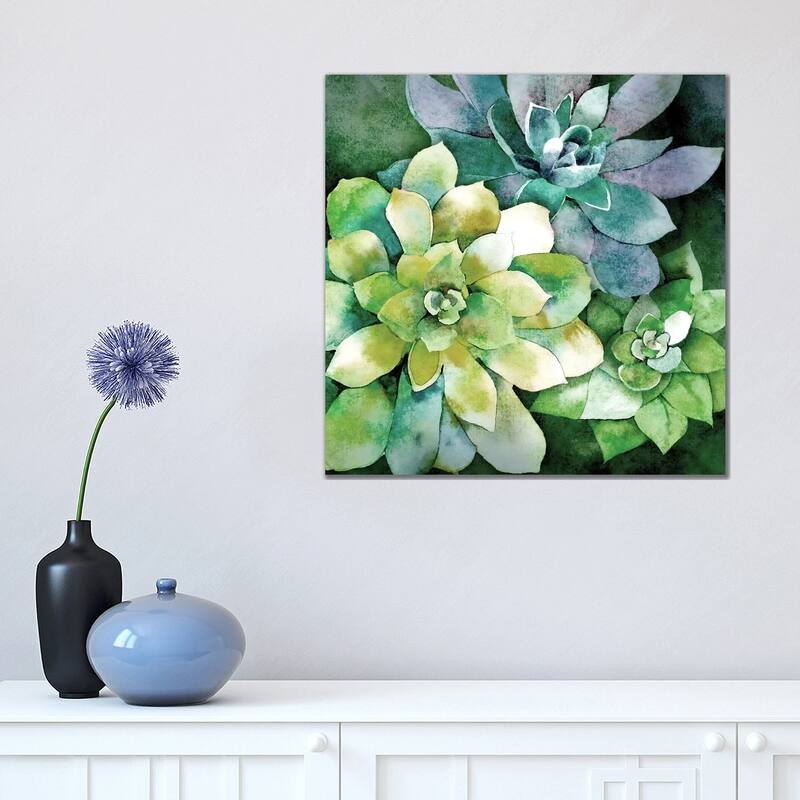 iCanvas "Summer Succulents" by Conrad Knutsen Canvas Print - 18x18x1.5