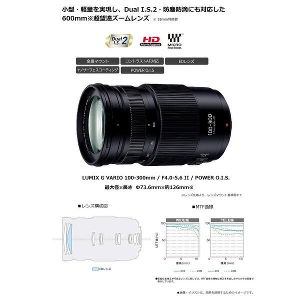 Panasonic Lumix G Vario 100 300mm F 4 5 6 Ii Power O I S Lens International Model Overstock