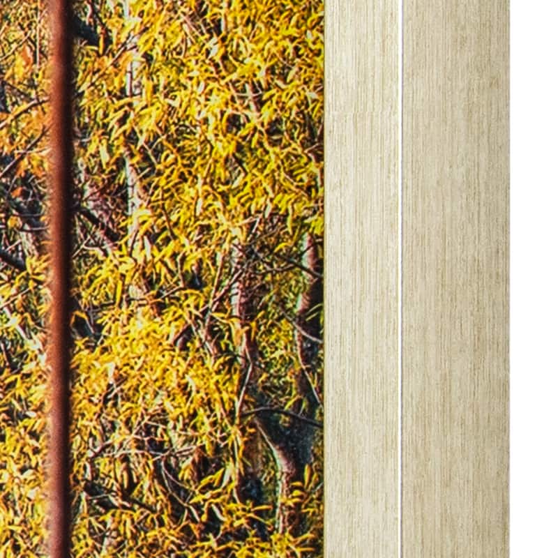 Yosemite Home Decor Glass Wall Art Woodlands