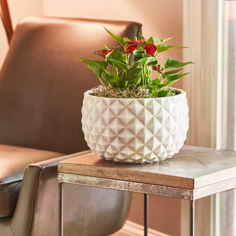 Southern Patio Pineapple White Ceramix 12-inch Bowl Planter