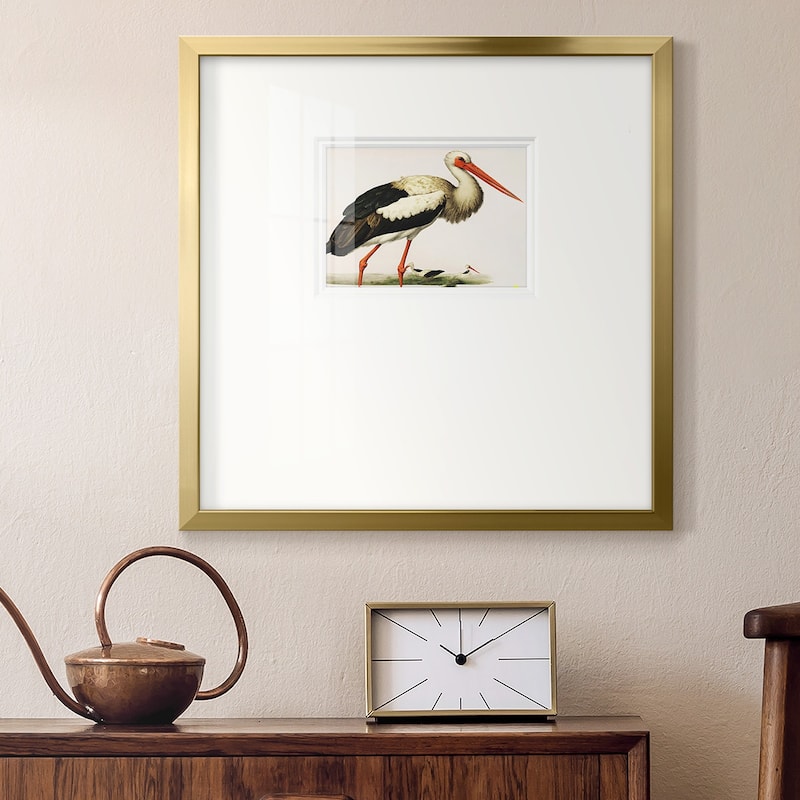 Odd CranePremium Framed Print