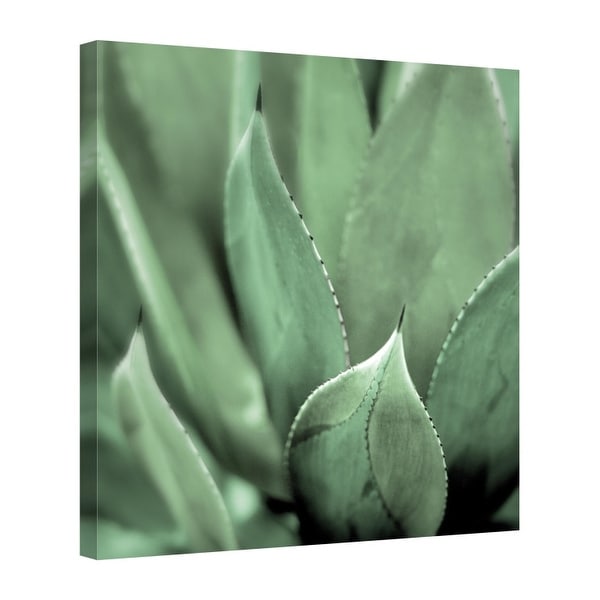 Easy Art Prints Alan Blaustein's 'Agave #4' Premium Canvas Art