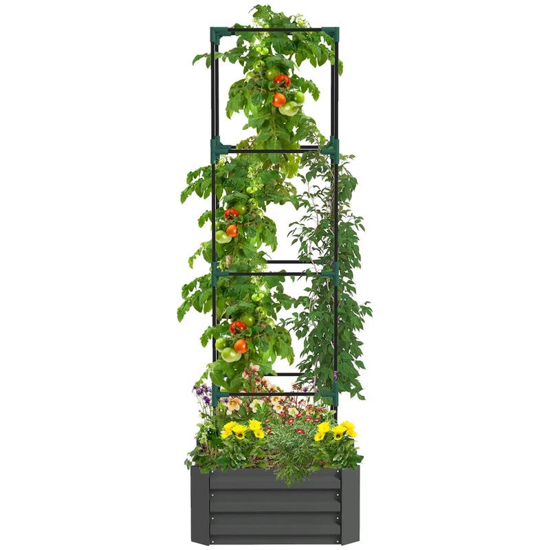 Galvanized Steel Raised Garden Bed with Adjustable Trellis for Vegetables Fruits and Flowers Outdoor Planter