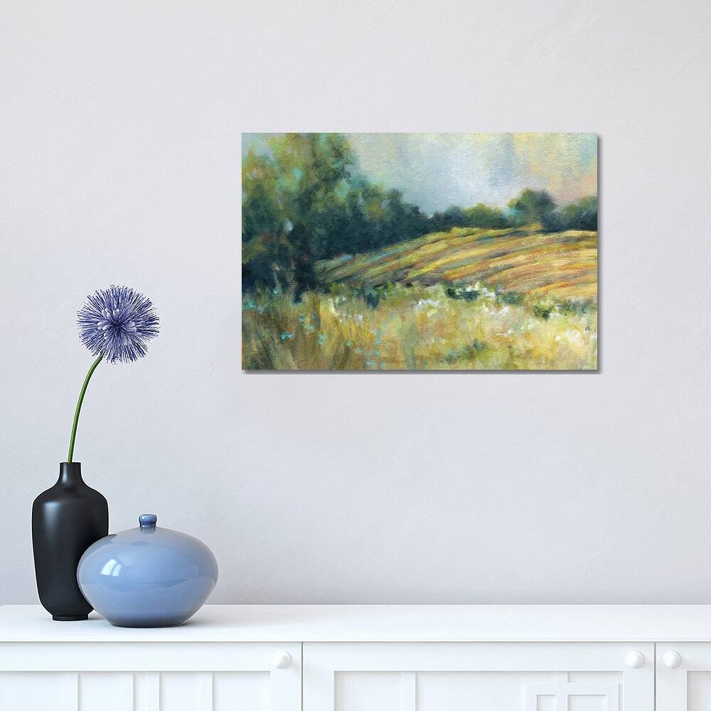iCanvas "Pastoral Field" by Carol Robinson Canvas Print