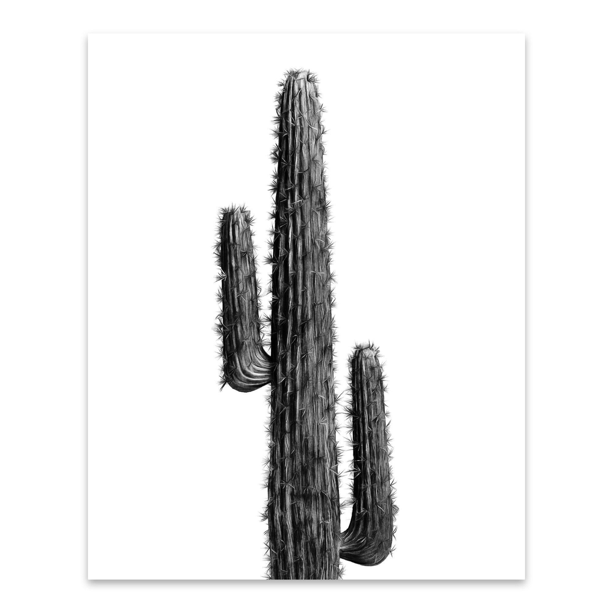Shop Black And White Cactus Cars Metal Wall Art Print Overstock 31902730
