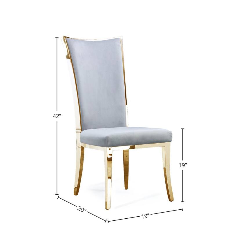 Massimo Titanium Gold Stainless Steel Dining Chair, Set of 2