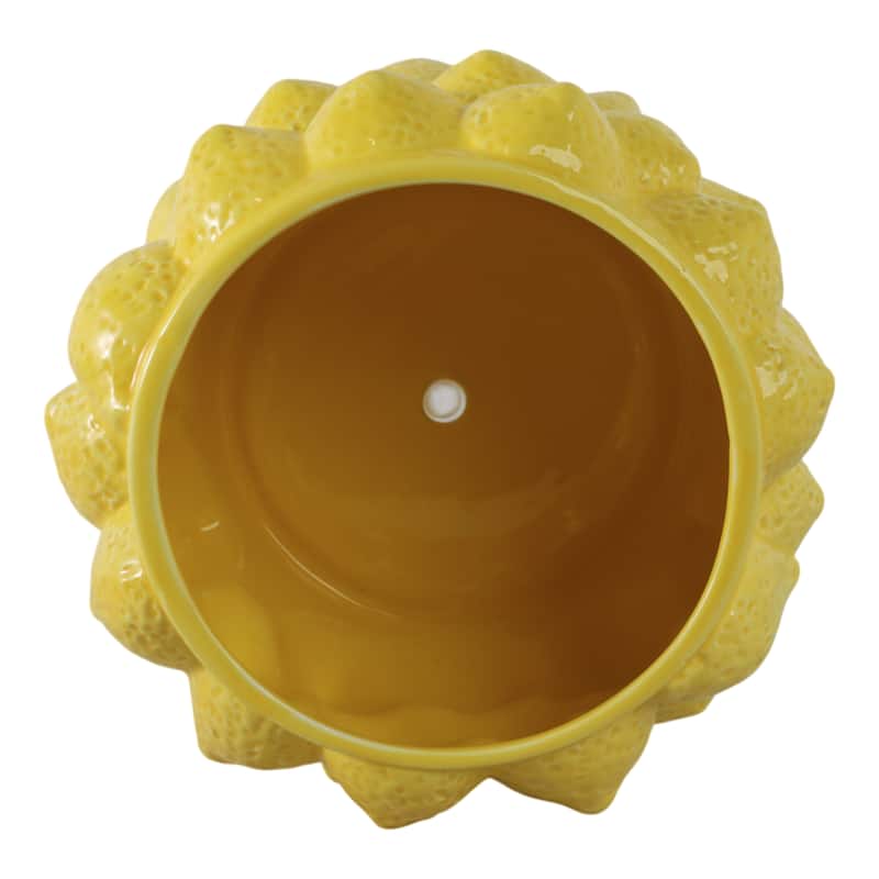 Textured Stoneware Ceramic Planter with Sculpted Bulbous Design