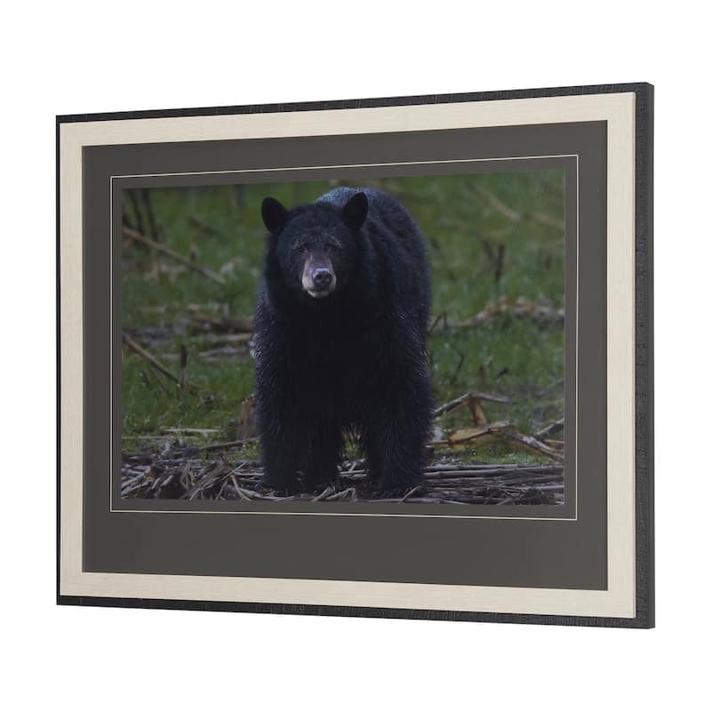 Standing Bear Framed Art Print
