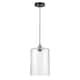 Option Clear / Black Antique Brass