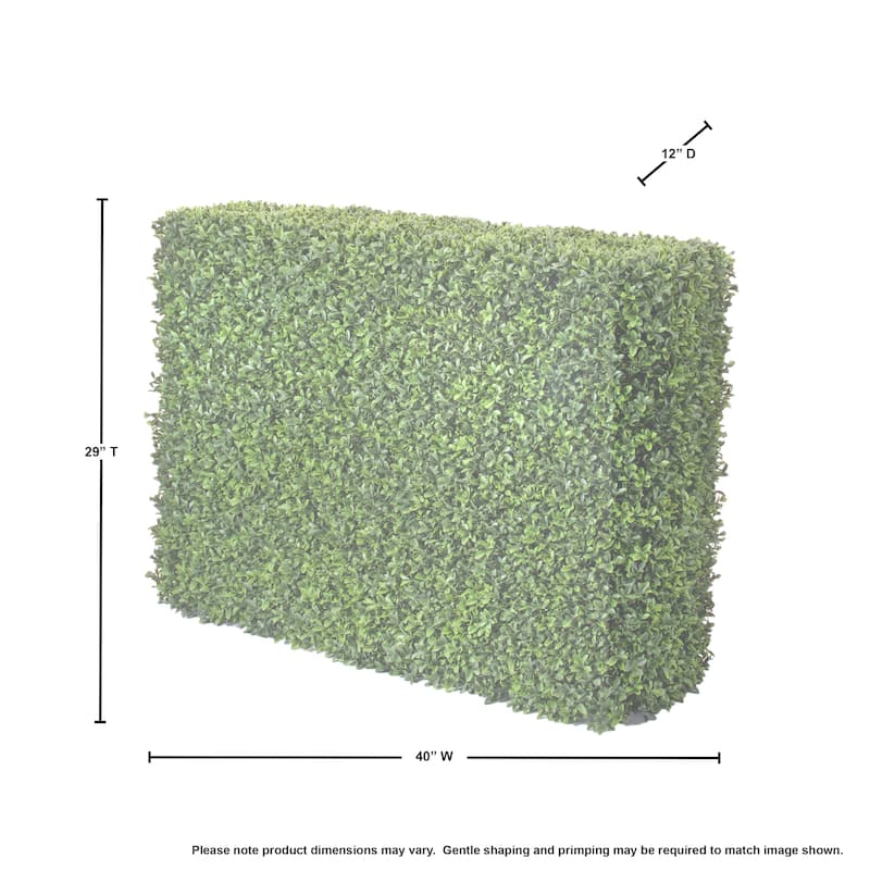 American Boxwood Hedge 40x12x29" - 40x29"